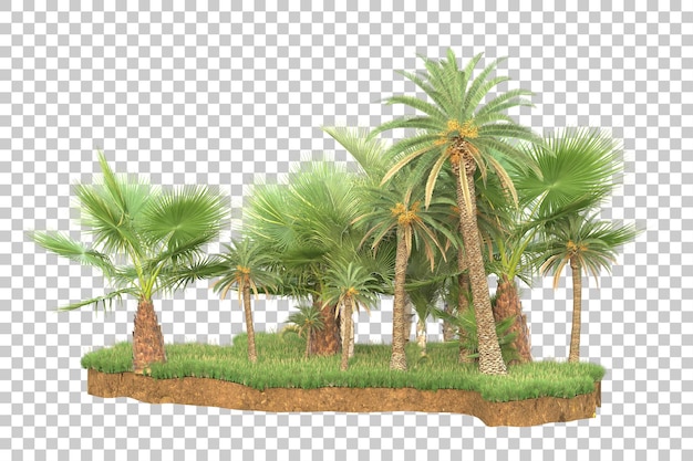 Isla tropical aislada sobre fondo transparente Ilustración de renderizado 3d