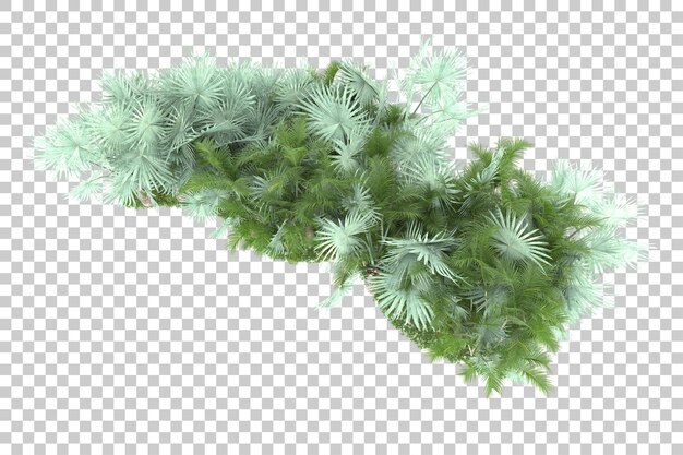 Isla tropical en la ilustración de renderizado 3d de fondo transparente