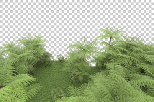 Isla tropical en la ilustración de renderizado 3d de fondo transparente
