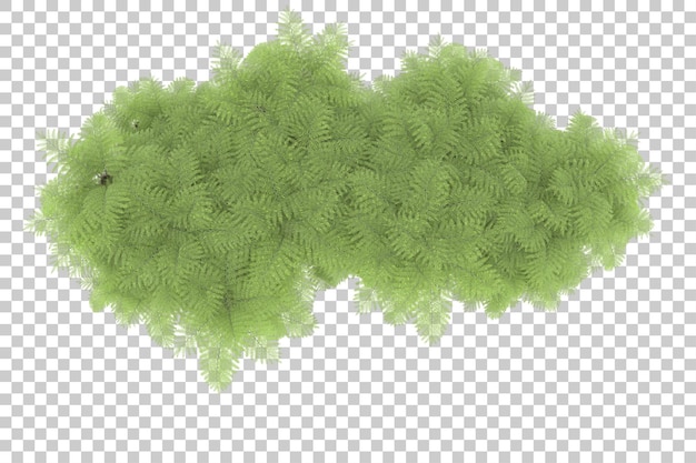 Isla tropical en la ilustración de renderizado 3d de fondo transparente