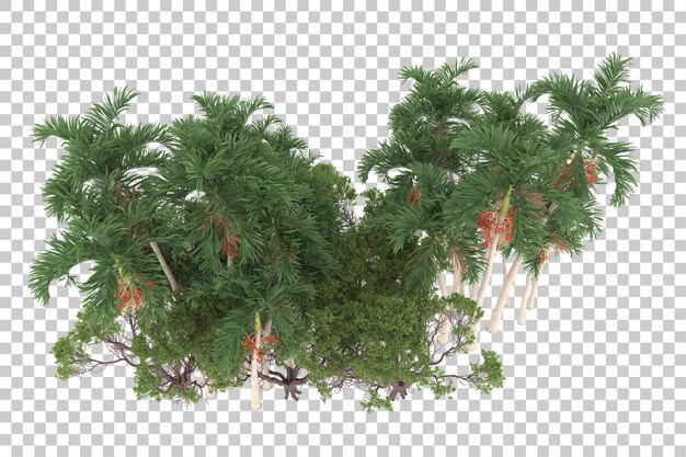 Isla tropical con palmeras sobre fondo transparente. Representación 3d - ilustración