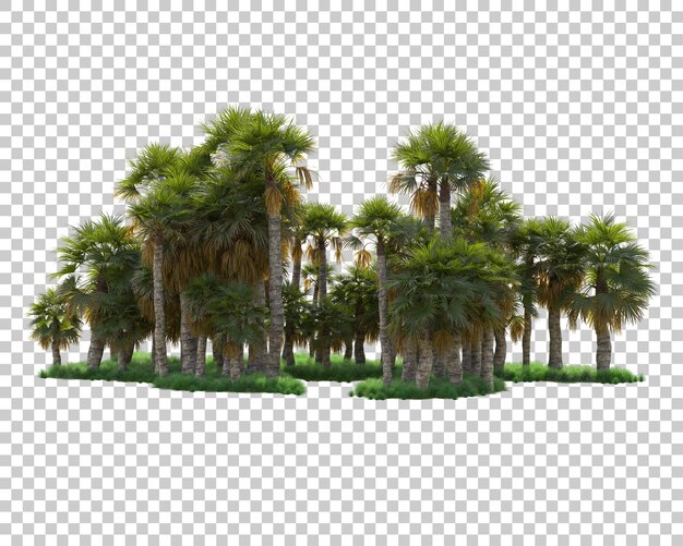 Isola del fogliame isolata su sfondo trasparente illustrazione del rendering 3d