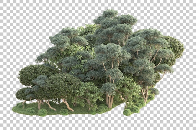 Isola del fogliame isolata su sfondo trasparente illustrazione del rendering 3d
