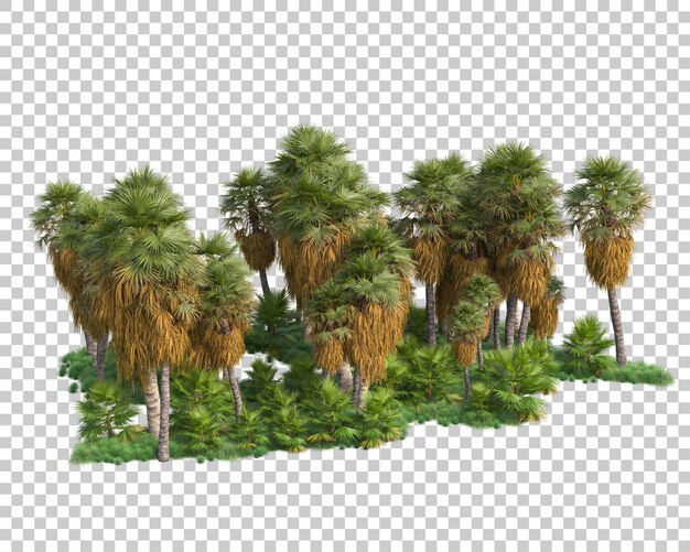 Isola del fogliame isolata su sfondo trasparente illustrazione del rendering 3d