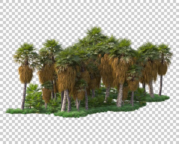 Isola del fogliame isolata su sfondo trasparente illustrazione del rendering 3d