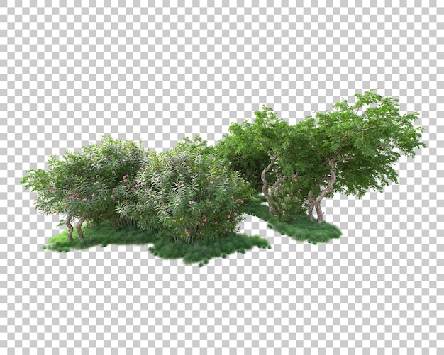 Isola del fogliame isolata su sfondo trasparente illustrazione del rendering 3d