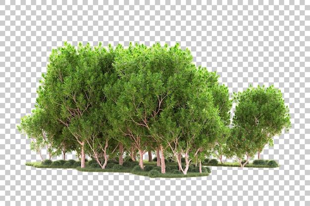 Isola del fogliame isolata su sfondo trasparente illustrazione del rendering 3d