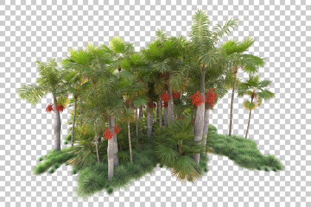 Isola del fogliame isolata su sfondo trasparente illustrazione del rendering 3d