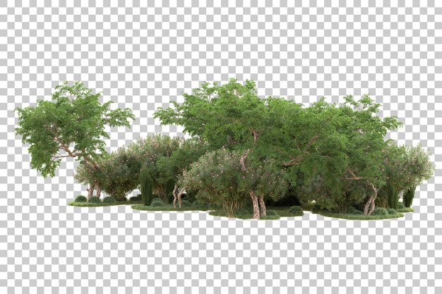 Isola di fogli isolata su uno sfondo trasparente illustrazione di rendering 3D