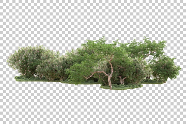 Isola di fogli isolata su uno sfondo trasparente illustrazione di rendering 3D