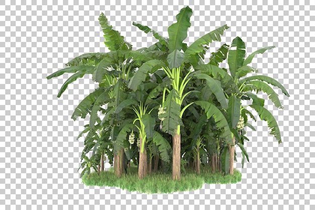 Isola tropicale isolata su sfondo trasparente 3d rendering illustrazione