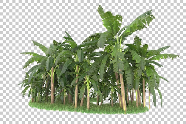 Isola tropicale isolata su sfondo trasparente 3d rendering illustrazione