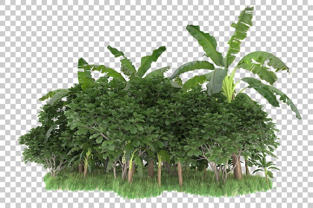 Isola tropicale isolata su sfondo trasparente 3d rendering illustrazione