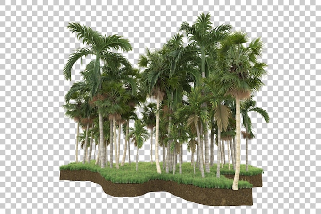 Isola tropicale isolata su sfondo trasparente 3d rendering illustrazione