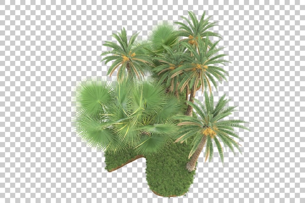 Isola tropicale isolata su sfondo trasparente 3d rendering illustrazione