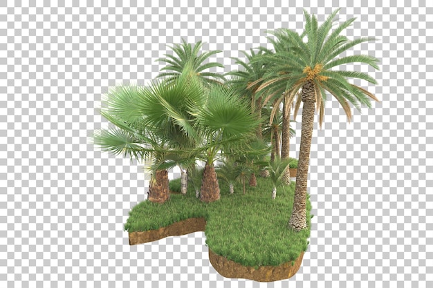 Isola tropicale isolata su uno sfondo trasparente illustrazione di rendering 3D