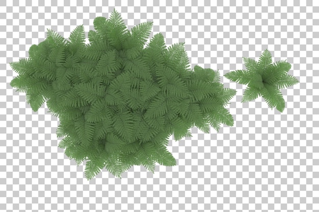 Isola tropicale su sfondo trasparente 3d rendering illustrazione