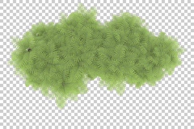 Isola tropicale su sfondo trasparente 3d rendering illustrazione