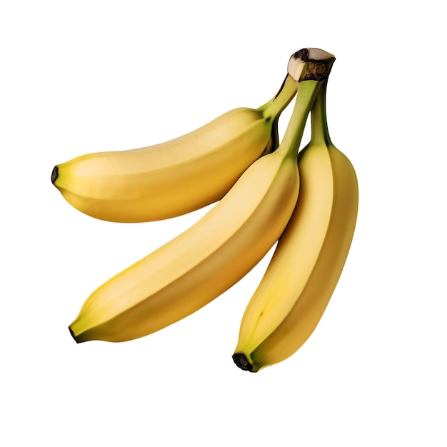 Isolado em um fundo branco um vetor de um feixe de banana amarela madura