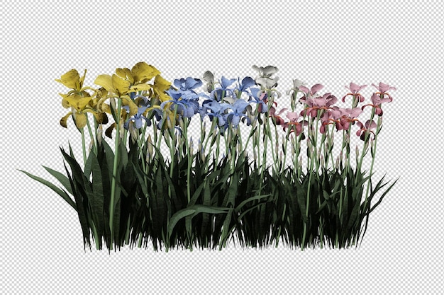 isolated grass in 3d rendering