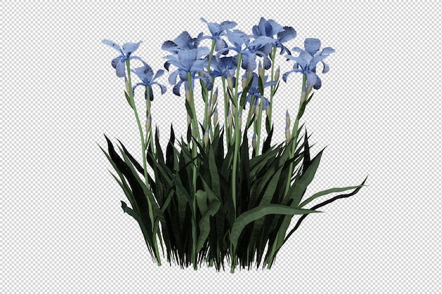 isolated grass in 3d rendering