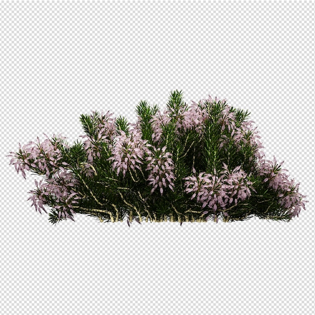 Isolated plant isometric front view transparent