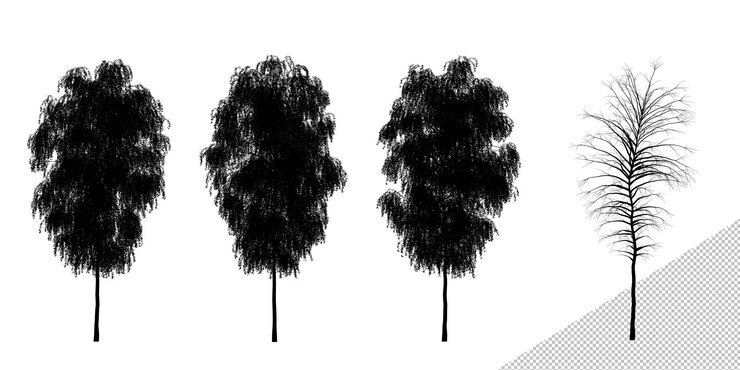 PSD isolated realistic tree silhouettes