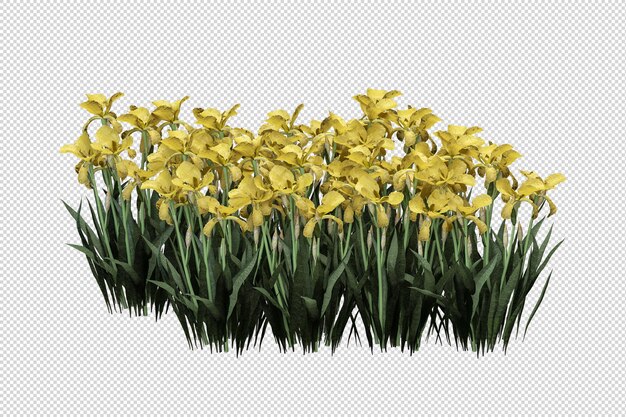 PSD isolierte blumen in 3d-rendering