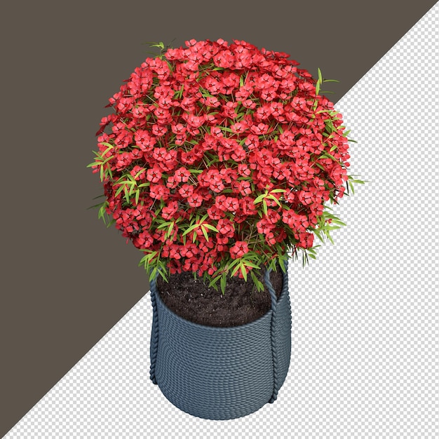 PSD isolierte farbblume in vase in 3d-rendering