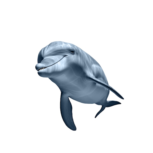 PSD isolierte figur von delfin