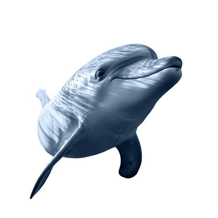 PSD isolierte figur von delfin