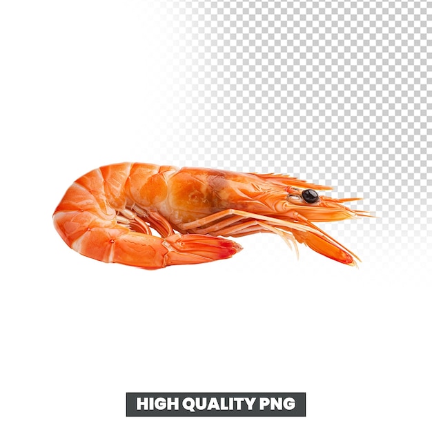 Isolierte gekochte Garnelen mit orange-weißer Farbe auf einem transparenten Hintergrundbild