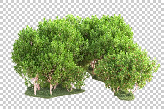 Isolierte Landschaft auf durchsichtigem Hintergrund 3D-Rendering-Illustration