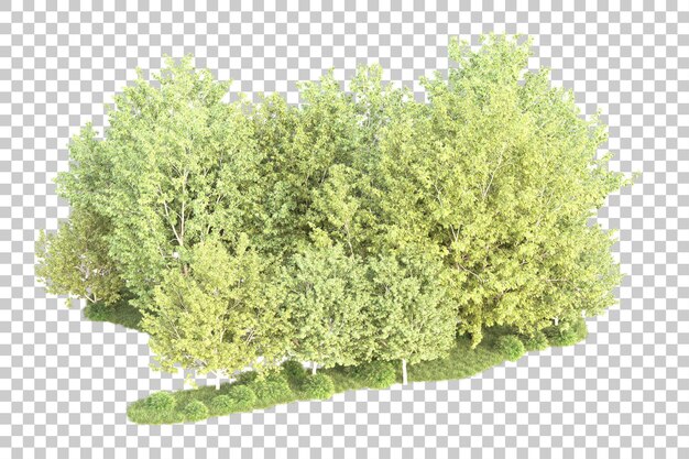 Isolierte Landschaft auf durchsichtigem Hintergrund 3D-Rendering-Illustration