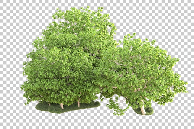 Isolierte Landschaft auf durchsichtigem Hintergrund 3D-Rendering-Illustration
