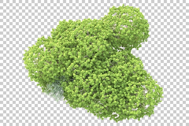 Isolierte Landschaft auf durchsichtigem Hintergrund 3D-Rendering-Illustration