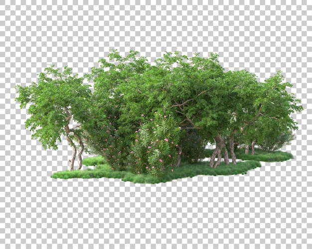 Isolierte Laubinsel auf durchsichtigem Hintergrund 3D-Rendering-Illustration