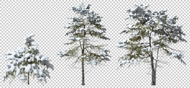 Isolierte, schneebedeckte Bäume, Ausschnitt, transparente Hintergründe, 3D-Rendering