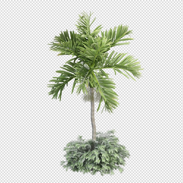 PSD isolierte tropische palme in 3d-rendering