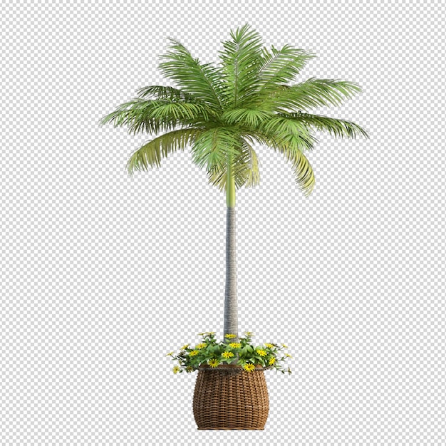 Isolierte tropische palme in 3d-rendering