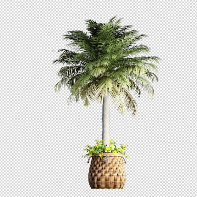 Isolierte tropische Palme in 3D-Rendering