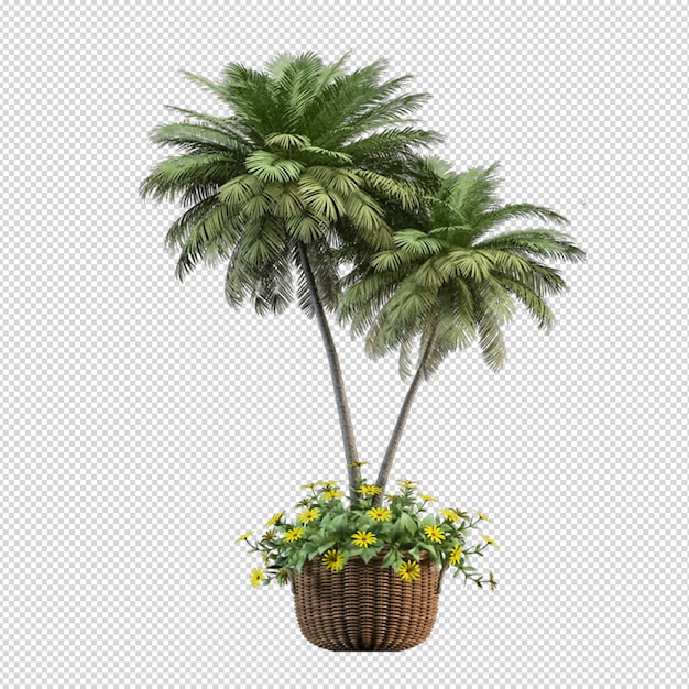 Isolierte tropische Palme in 3D-Rendering