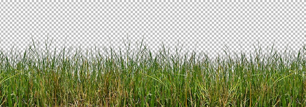 PSD isolierte wilde gräser