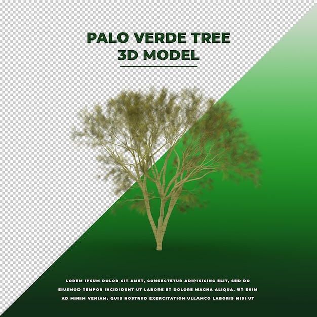 Isoliertes 3d-modell des palo verde-baums