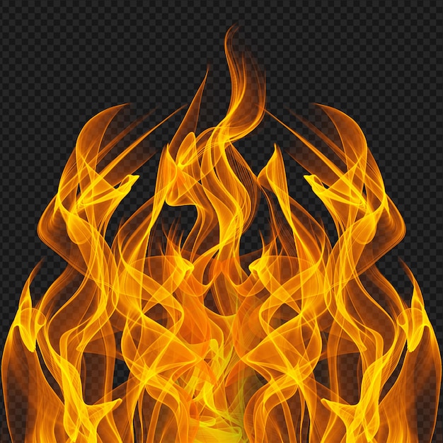 Isoliertes Feuer & Flammen hohe Qualität