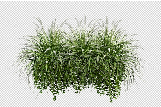 Isoliertes Gras in 3D-Rendering