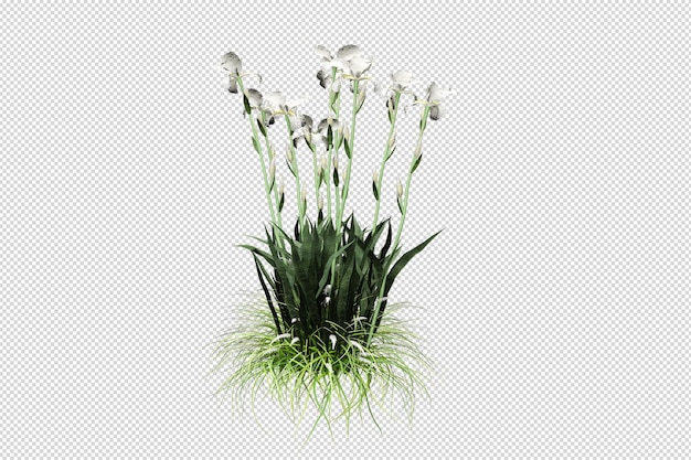 Isoliertes Gras in 3D-Rendering