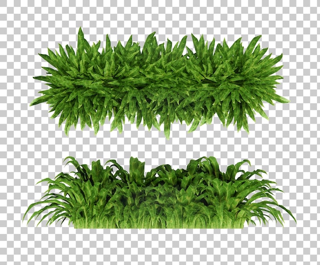 Isometric plant 3d rendering set