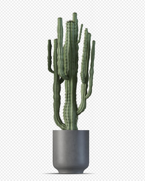 Isometric plant 3d rendering