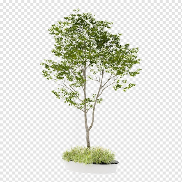 Isometric tree in 3d rendering